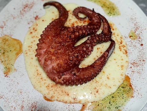 Plato2